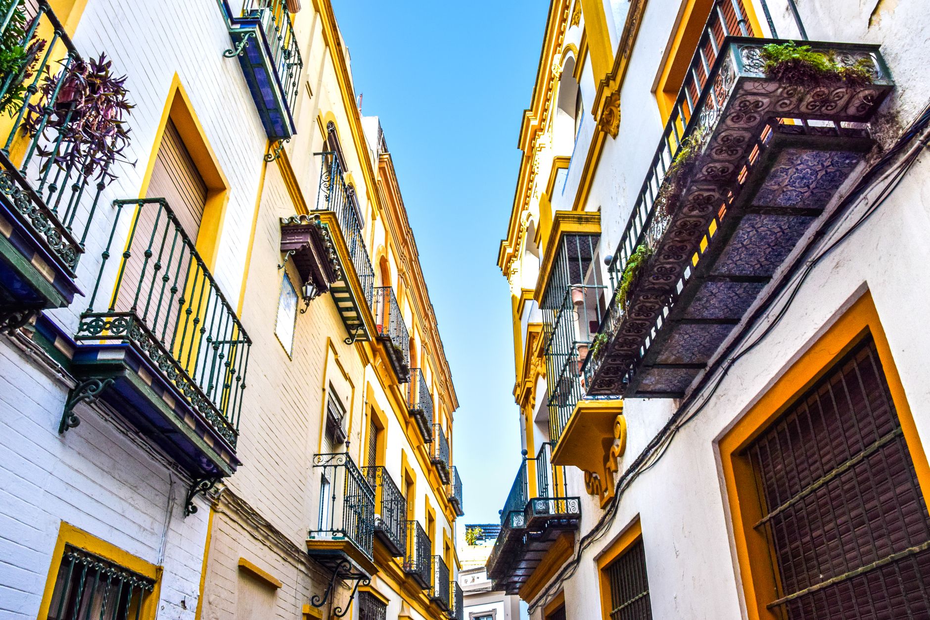 Ley de Dependencia en Andalucía: gestión en Sevilla