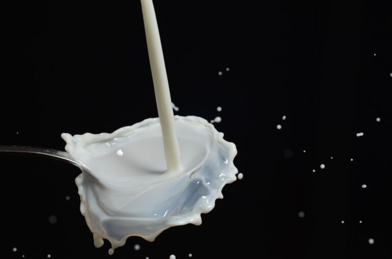 Osteoporosis en Mayores: Prevención de Fracturas
