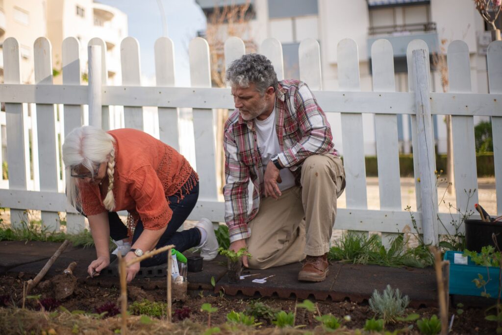 cohousing sénior en españa